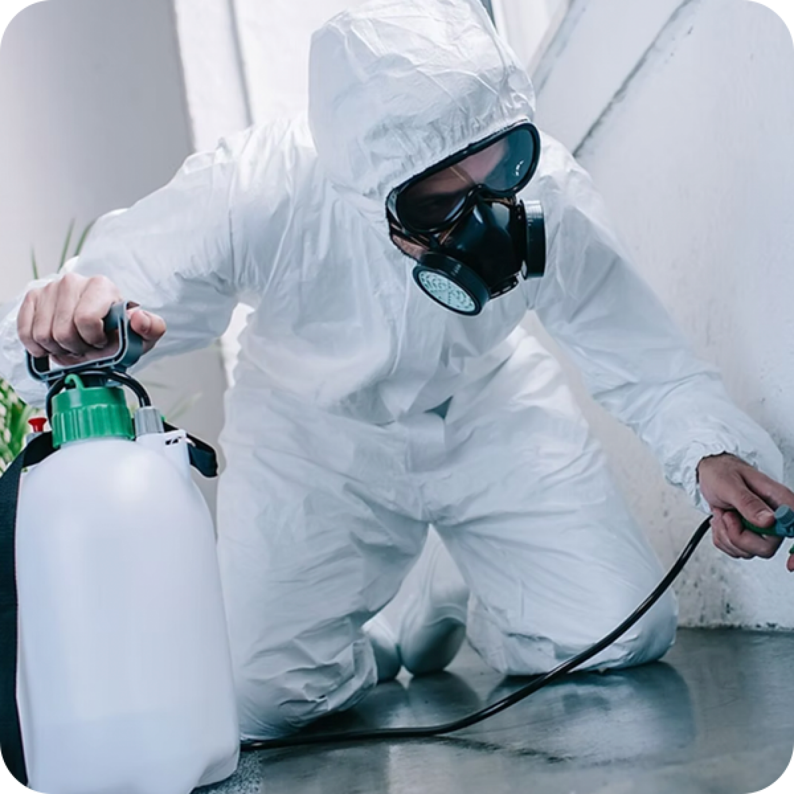 pest spray suit sq. rev