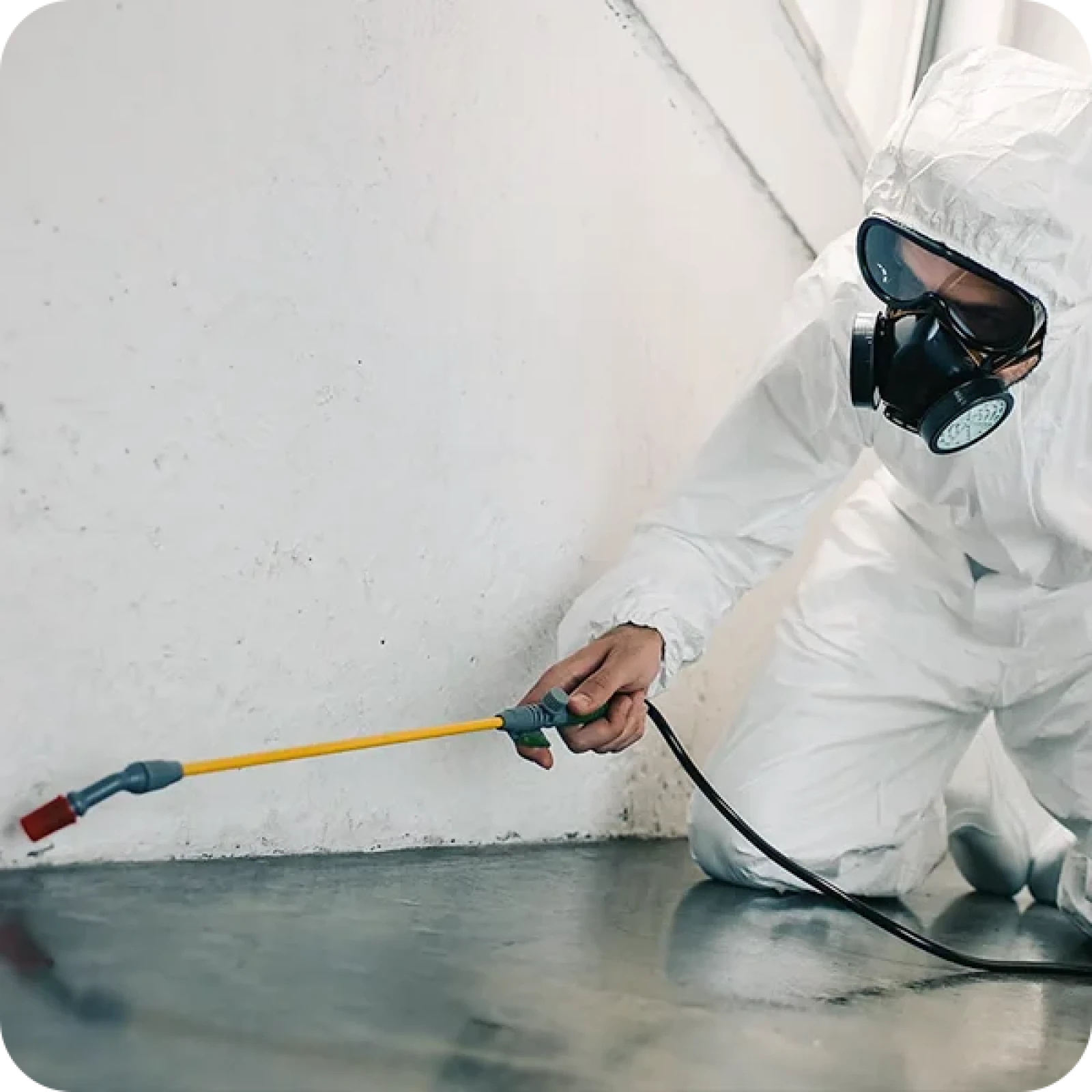 pest spray suit sq